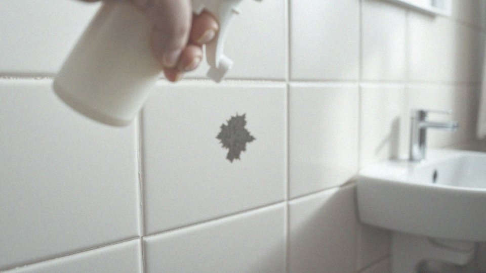 Jak ocet pomaga w walce z pleśnią?